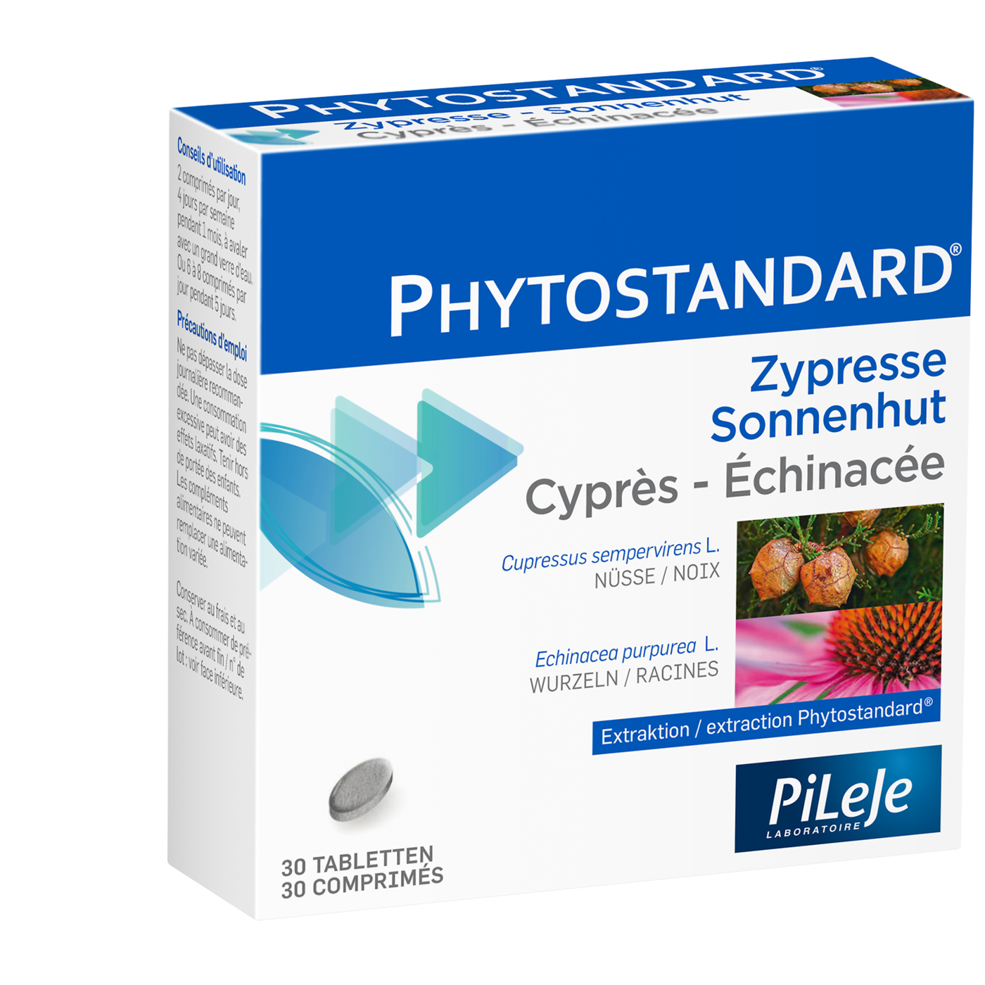 Cyprès - Echinacée