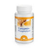 Curcumin-Phospholipid 