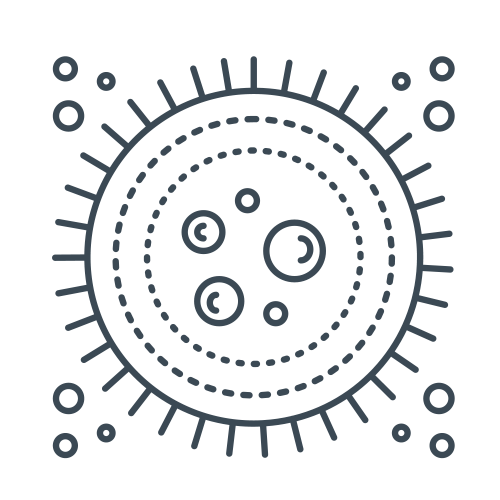 Microbiote